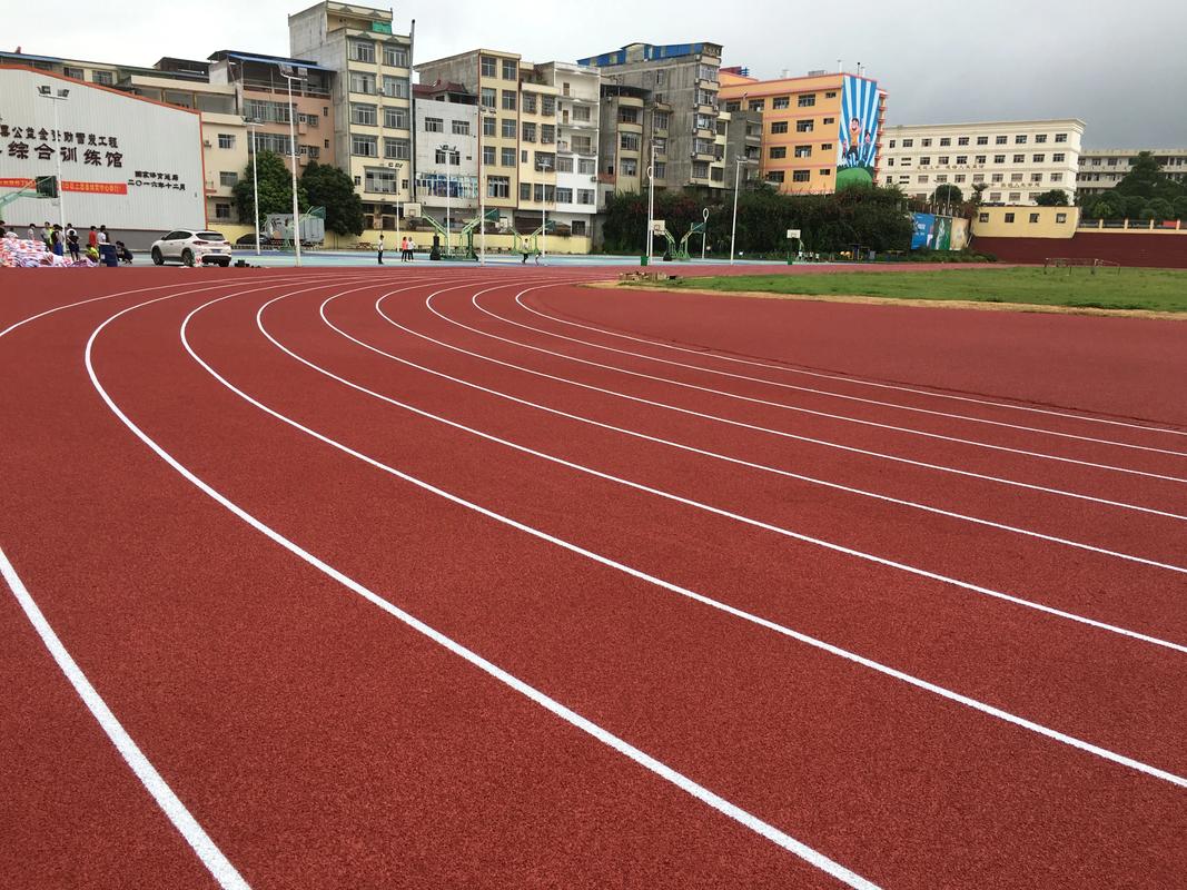 临高县硅PU塑胶跑道材料 - 厂家