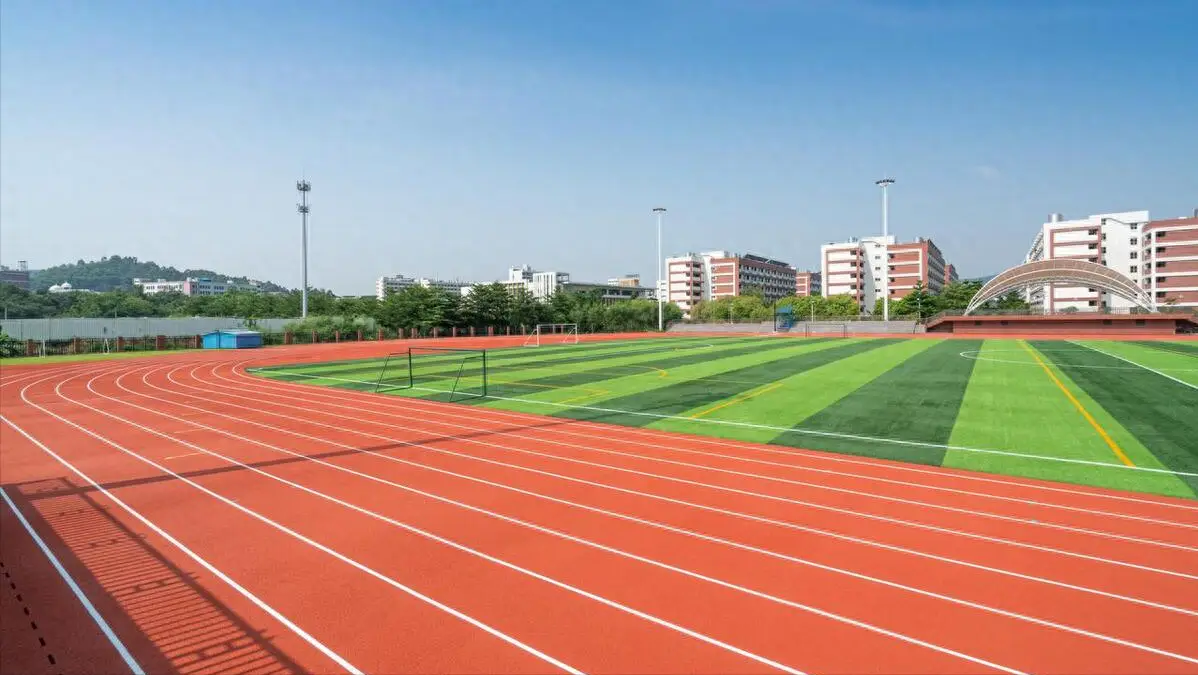 临高县学校塑胶跑道塑胶跑道 - 价格